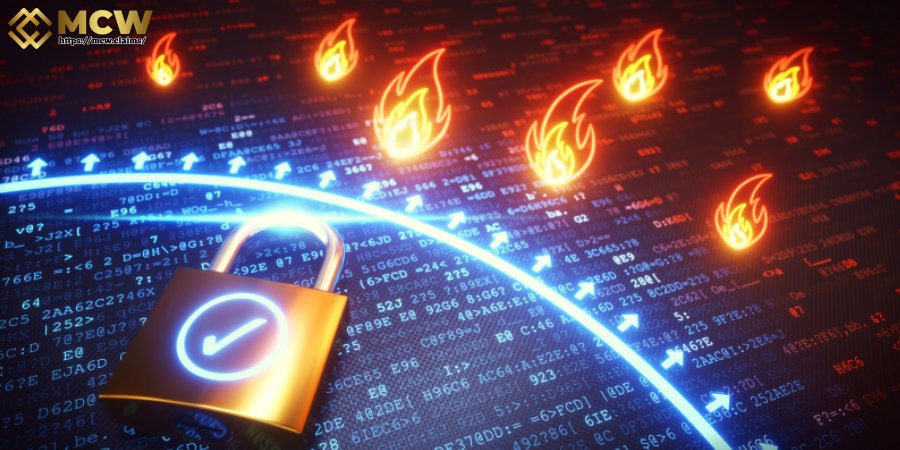 Firewall Systems for Customer Information Protection