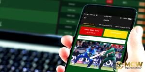 Live cricket betting